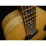 House Guitars - House Piedmont Standard