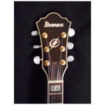 Ibanez AF-105