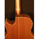 Larkin Guitars - Larkin ASAP Cutaway