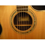 Larrivee LSV-09 (Used)