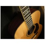 Larrivee OM-10 Custom