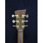 Mcilroy Guitars - Mcilroy A20 Custom
