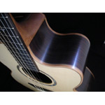 Mcilroy Guitars - Mcilroy A30C