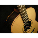 Mcilroy A30 - Rosewood/Sitka