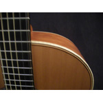 Mcilroy Guitras - Mcilroy A55 5th Anniversary (Used)