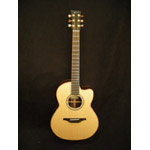 Mcilroy Guitars - Mcilroy AS30C