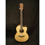 Mcilroy AS30c Rosewood/Sitka