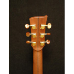 Mcilroy Guitars - McilroyAS35C