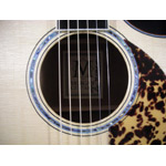 Morgan Guitars - Morgan Concert Cutaway - Mahogany (used)