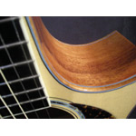 Morgan Guitars - Morgan Concert Cutaway - Mahogany (used)