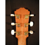 Morgan Guitars - Morgan Concert Cutaway - Mahogany (used)