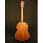 Morgan Guitars - Morgan Concert - Mahogany