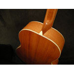 Morgan Guitars - Morgan Concert - Mahogany