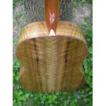 Morgan Guitars - Morgan Concert - French Walnut