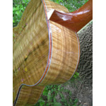 Morgan Guitars - Morgan Concert - French Walnut