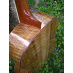 Morgan Guitars - Morgan Concert - French Walnut