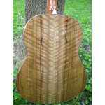 Morgan Guitars - Morgan Concert - French Walnut
