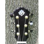 Morgan Guitars - Morgan Concert - French Walnut