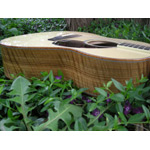 Morgan Guitars - Morgan Concert - French Walnut