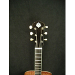 Morgan Guitars - Morgan OM - Bubinga