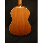 Morgan Guitars - Morgan OO, Mahogany