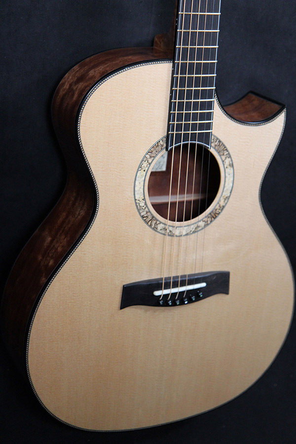 Paramount Guitars Unique Handmade Guitars North Road GA