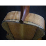 Northwood Guitars - Northwood Jumbo FW-70MJ