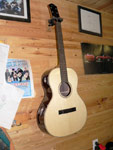 Josh House Guitars