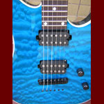 Robin Guitars - Robin Medley Exotic Top