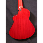 Veillette Avante Gryphon