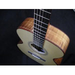 Webber Guitars - Webber Jumbo