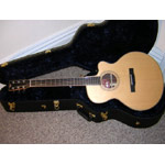 Webber Jumbo Cutaway 2