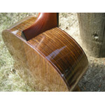 Webber Guitars - Webber Roundbody