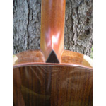 Webber Guitars - Webber Roundbody